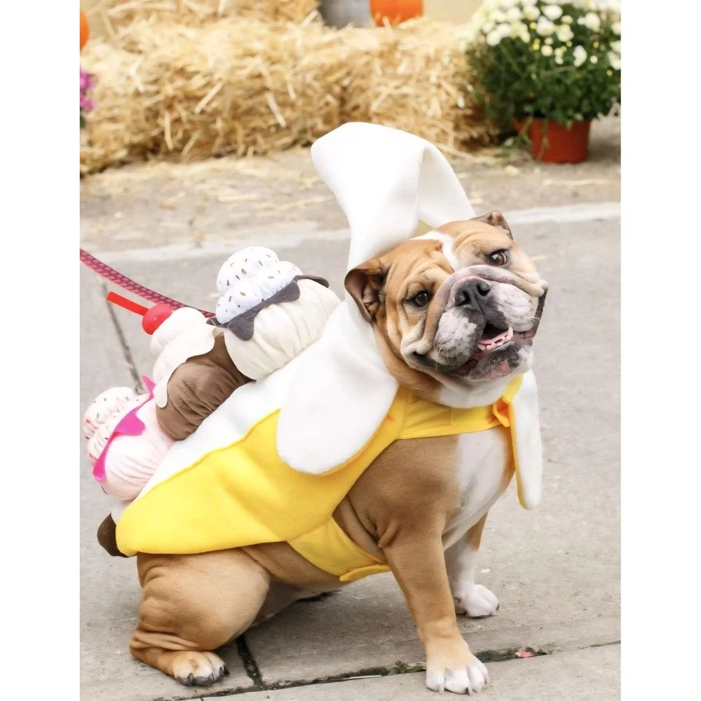 Dog costume Banana‎ Split size M